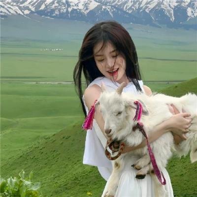 狗吃掉了影子